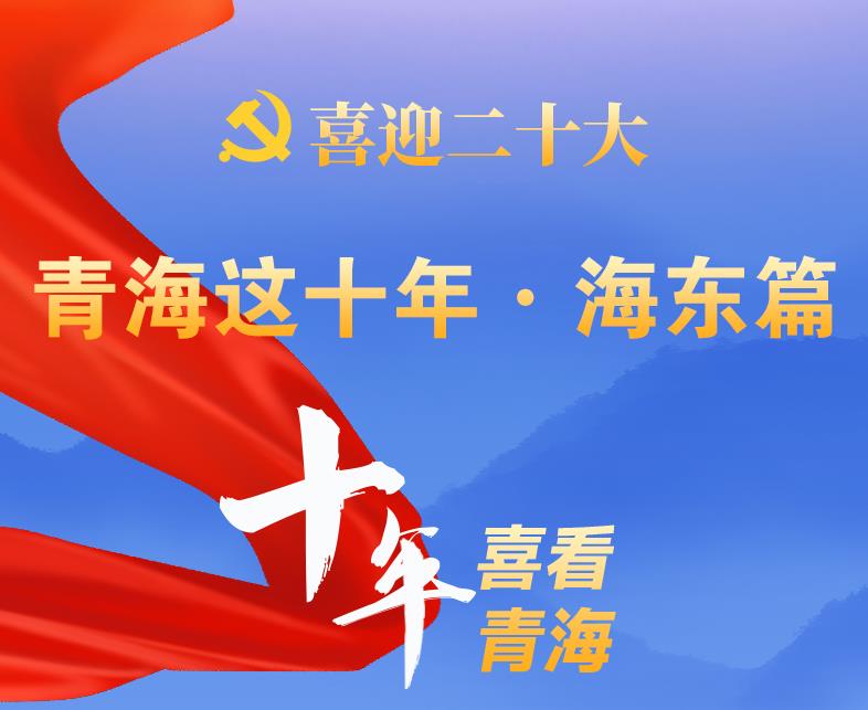 【喜迎二十大】青海這十年·海東篇