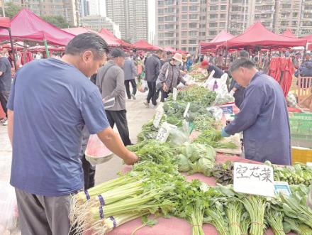 逛早市，看最濃煙火氣 上半年我省零售業(yè)零售額增長13.9%