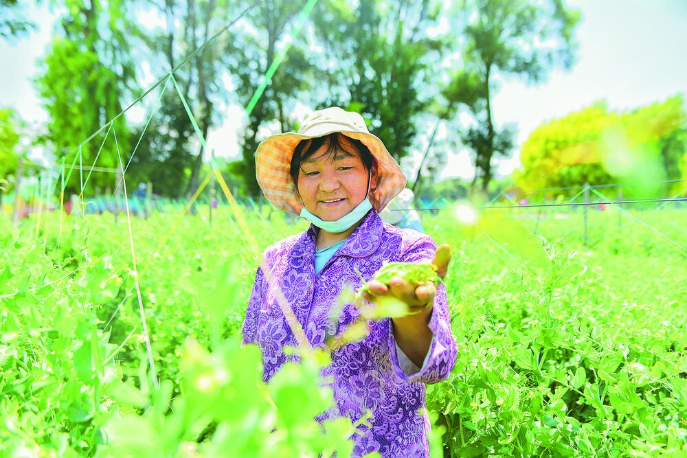 【兩會(huì)新觀察】錨定高質(zhì)量“航標(biāo)” 共繪發(fā)展新圖景