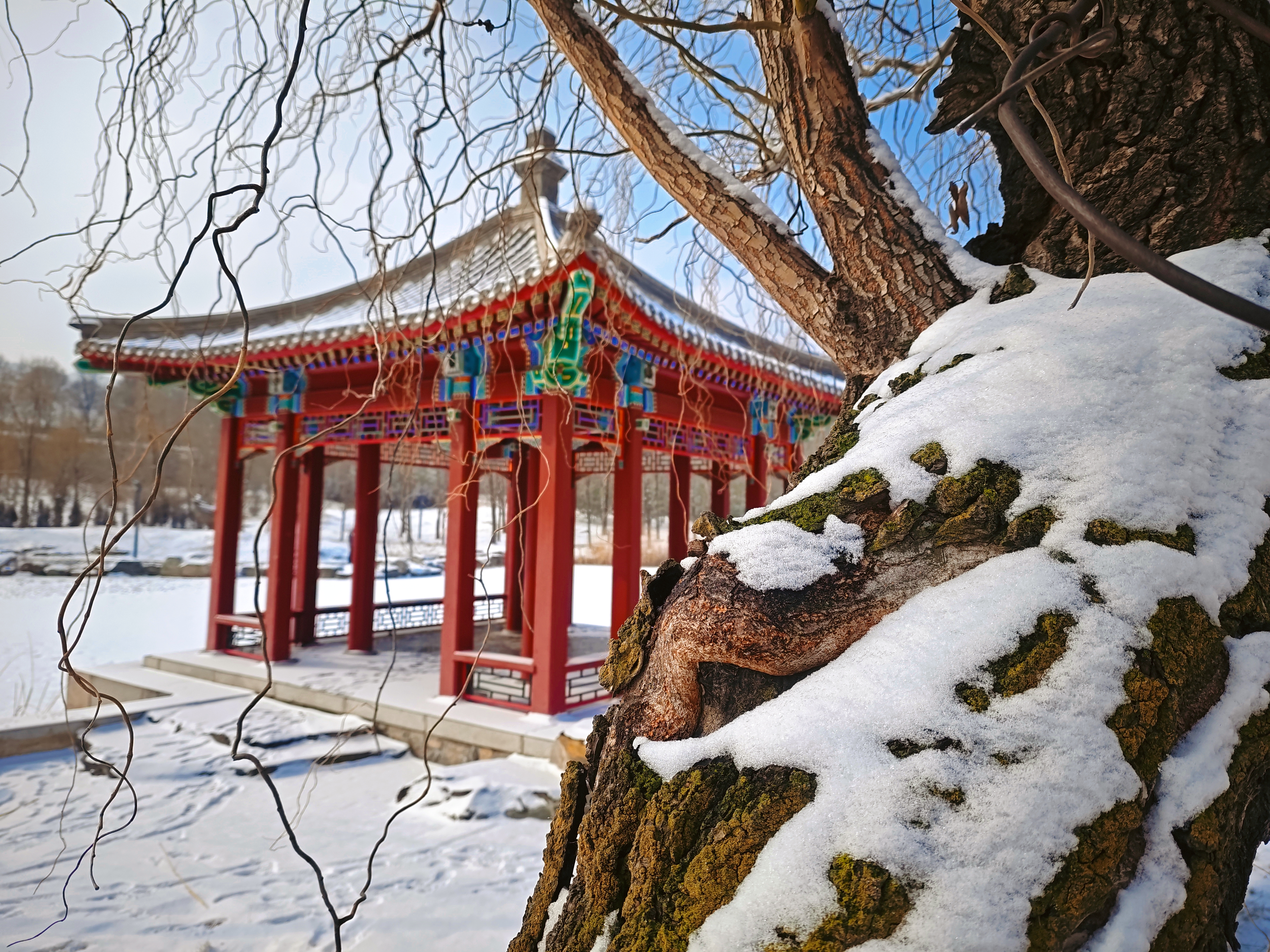 組圖 | 處處都是雪 回眸才是景