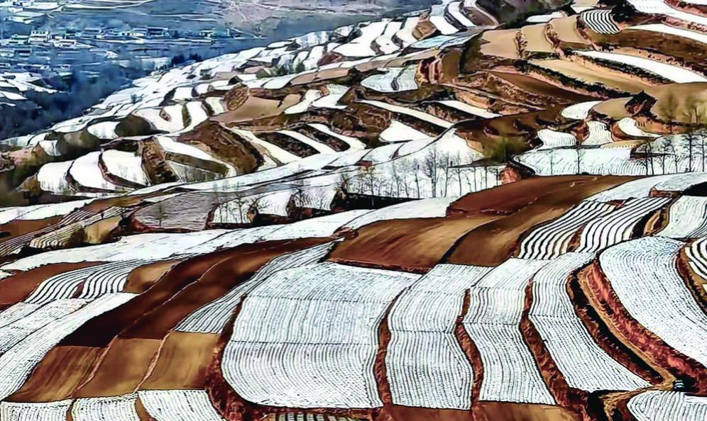 青海互助：春雪“妝扮”最美梯田