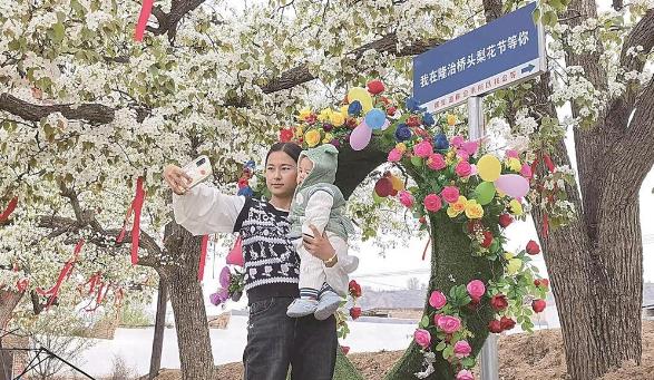 【祖國好 家鄉(xiāng)美】民和縣隆治鄉(xiāng)：梨花盛放迎客來