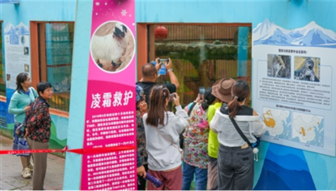日超6000人，他們?yōu)檠┍h(yuǎn)道而來——“我在西寧遇豹豹”系列報(bào)道之二