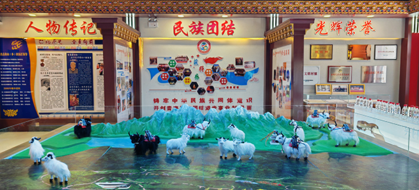 青海格爾木長江源村：民族團(tuán)結(jié)之花越開越艷