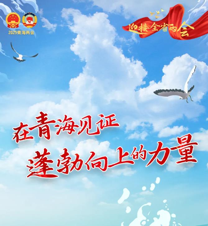【迎接全省兩會】SVG | 在青海，見證蓬勃向上的力量