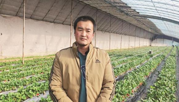霍成文：讓高原草莓走向全國