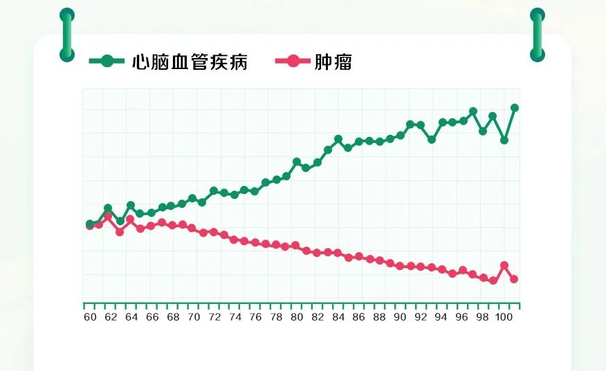 圖片5