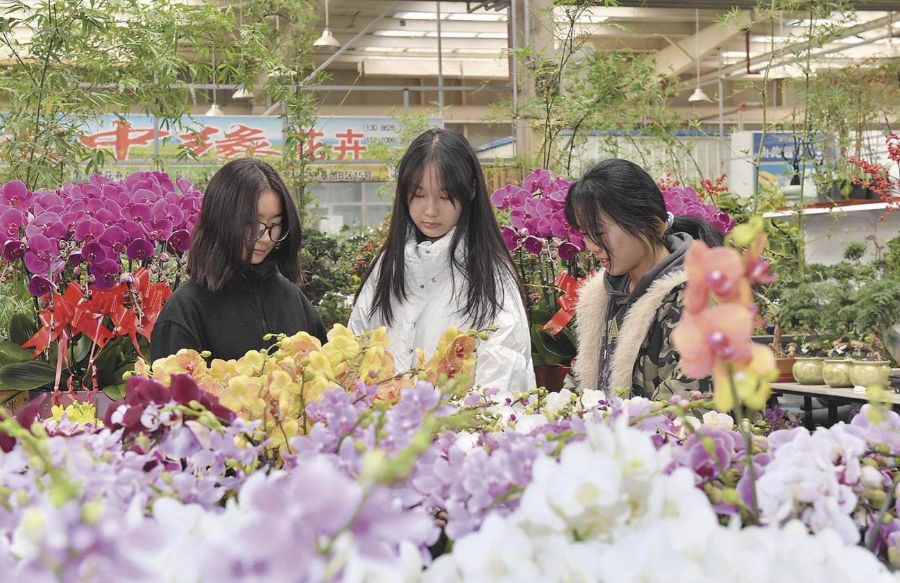 花卉市場年味濃