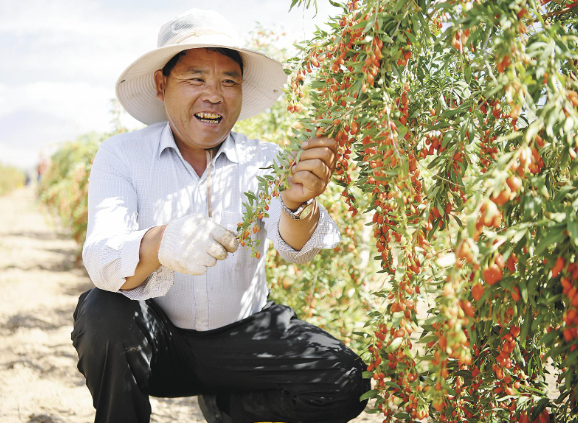 【兩會(huì)特刊·青報(bào)觀察】實(shí)干有“力度” 民生有“溫度” ——“牢記囑托、感恩奮進(jìn)”系列述評(píng)之六