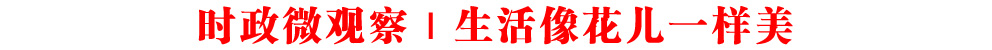 時(shí)政微觀察丨生活像花兒一樣美