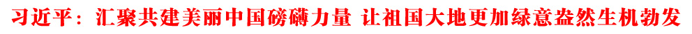 習(xí)近平：匯聚共建美麗中國磅礴力量 讓祖國大地更加綠意盎然生機(jī)勃發(fā)