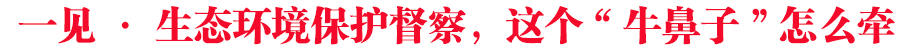 一見·生態(tài)環(huán)境保護(hù)督察，這個(gè)“牛鼻子”怎么牽