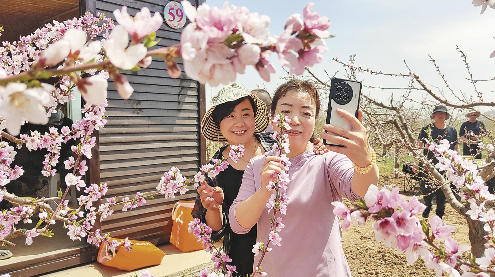 青海民和：桃花旅游活動(dòng)啟動(dòng)