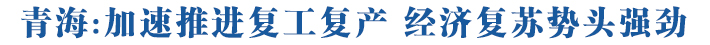 青海:加速推進復(fù)工復(fù)產(chǎn) 經(jīng)濟復(fù)蘇勢頭強勁
