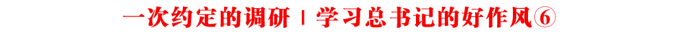 一次約定的調(diào)研｜學(xué)習(xí)總書記的好作風(fēng)⑥