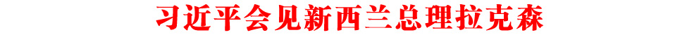 習近平會見新西蘭總理拉克森