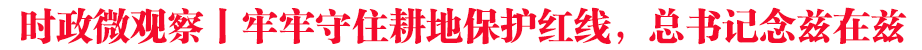 時政微觀察丨牢牢守住耕地保護紅線,總書記念茲在茲