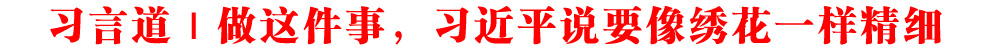 習(xí)言道丨做這件事，習(xí)近平說(shuō)要像繡花一樣精細(xì)